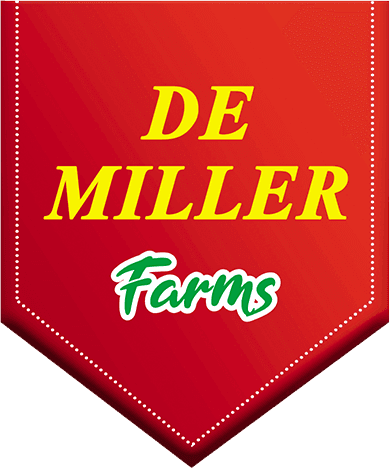 Demiller Industries